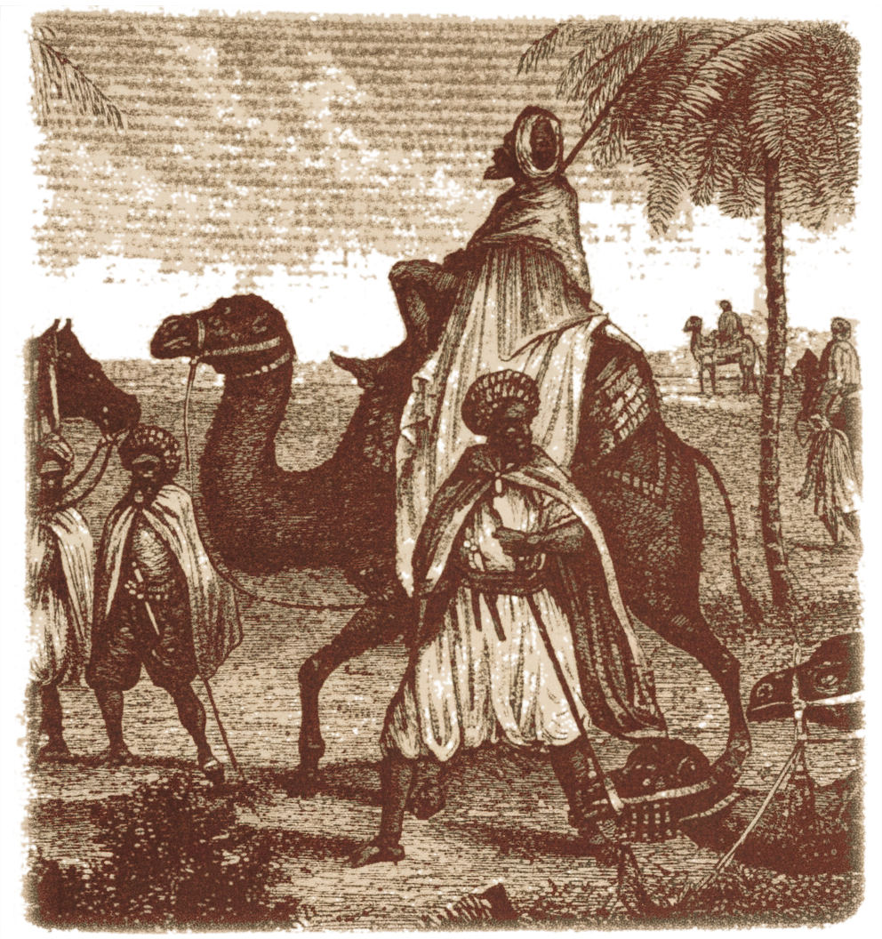 Carovana nel deserto marocchino