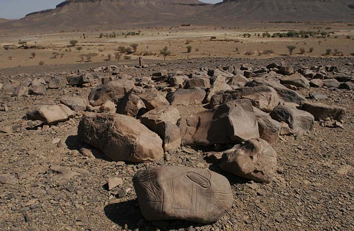 Arte rupestre, deserto e oasi con l'archeologo