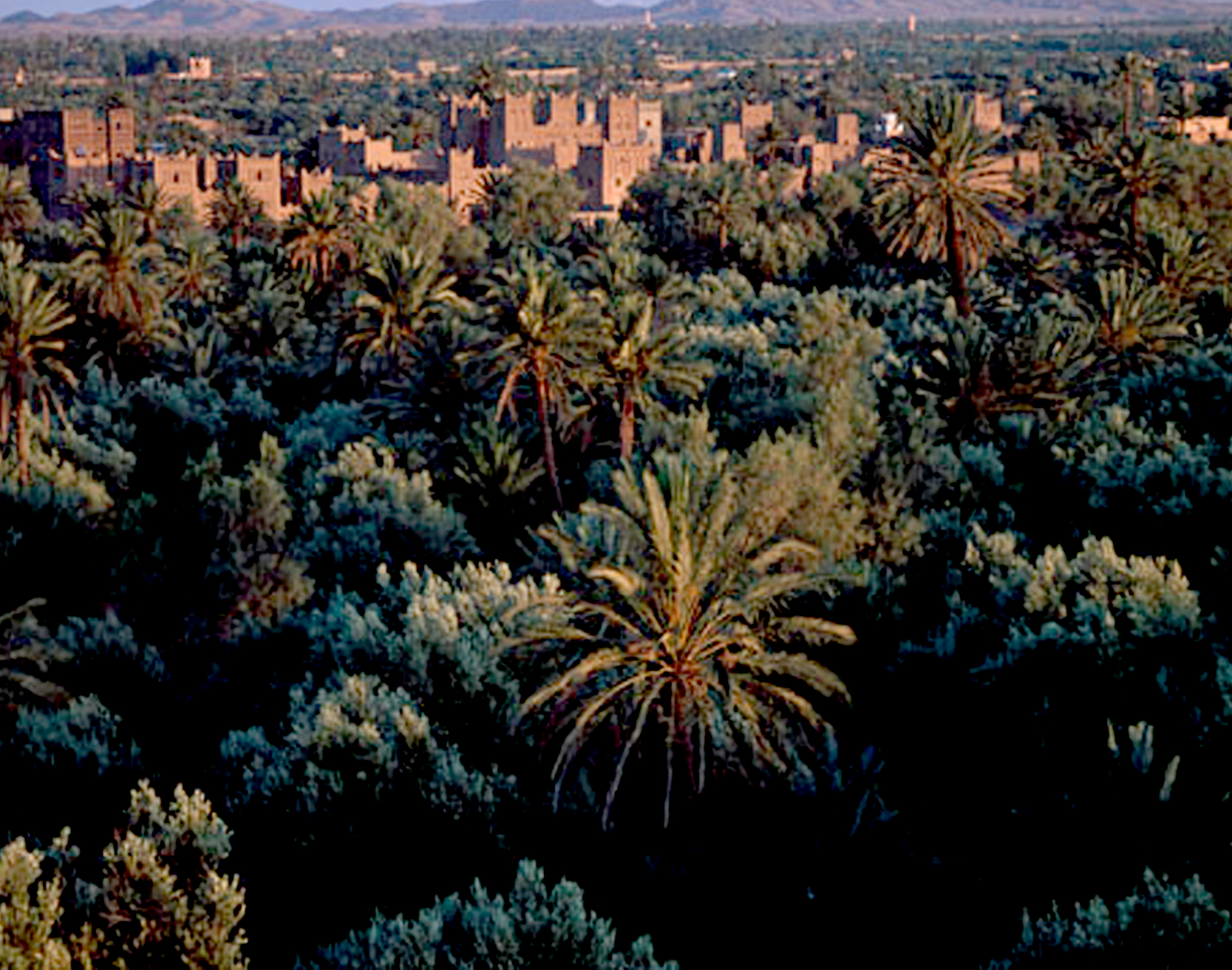 Ouarzazate, oasi di Skoura e Gole del Dadès - 3 giorni