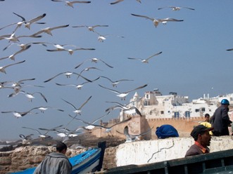 La Bianca Essaouira escursione di 1 giorno