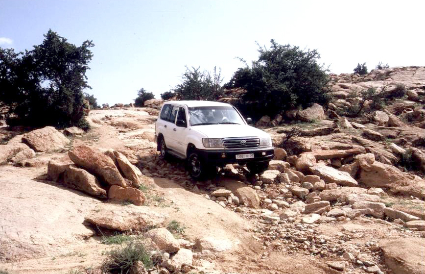 Le più belle strade del Marocco -  10 giorni