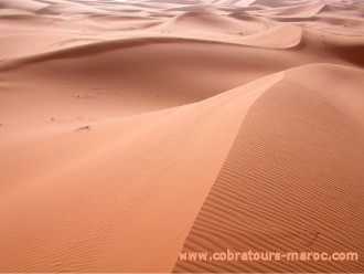 Le coste selvagge a sud di Agadir