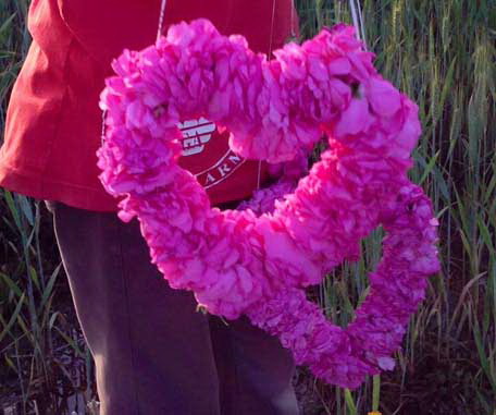 ROSE IN FESTA